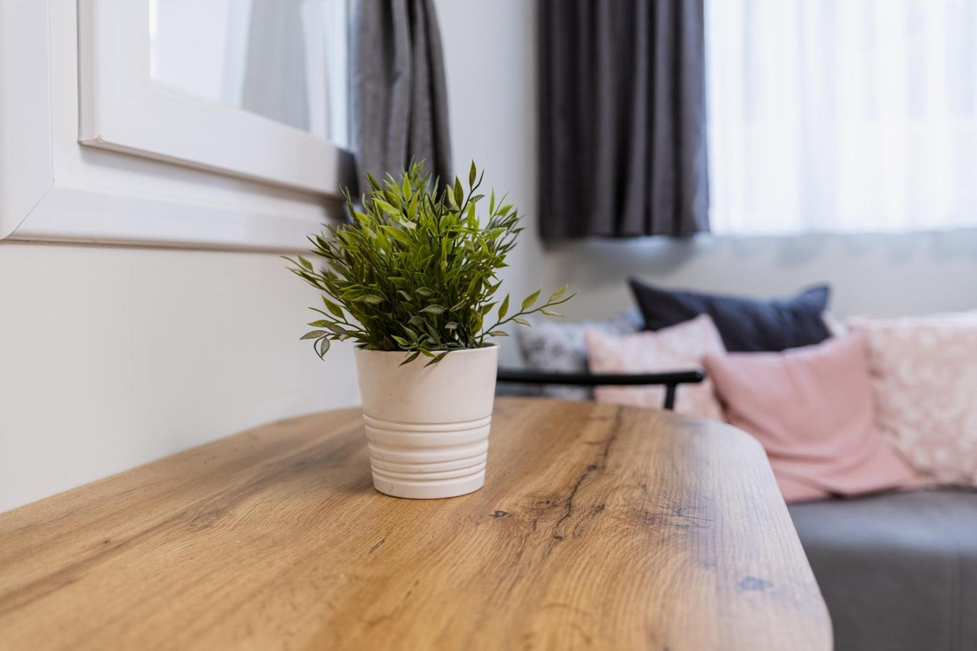 City Center Studio Apartments Φιλιππούπολη Εξωτερικό φωτογραφία